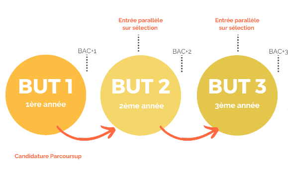 Aperçu de l'application des groupes